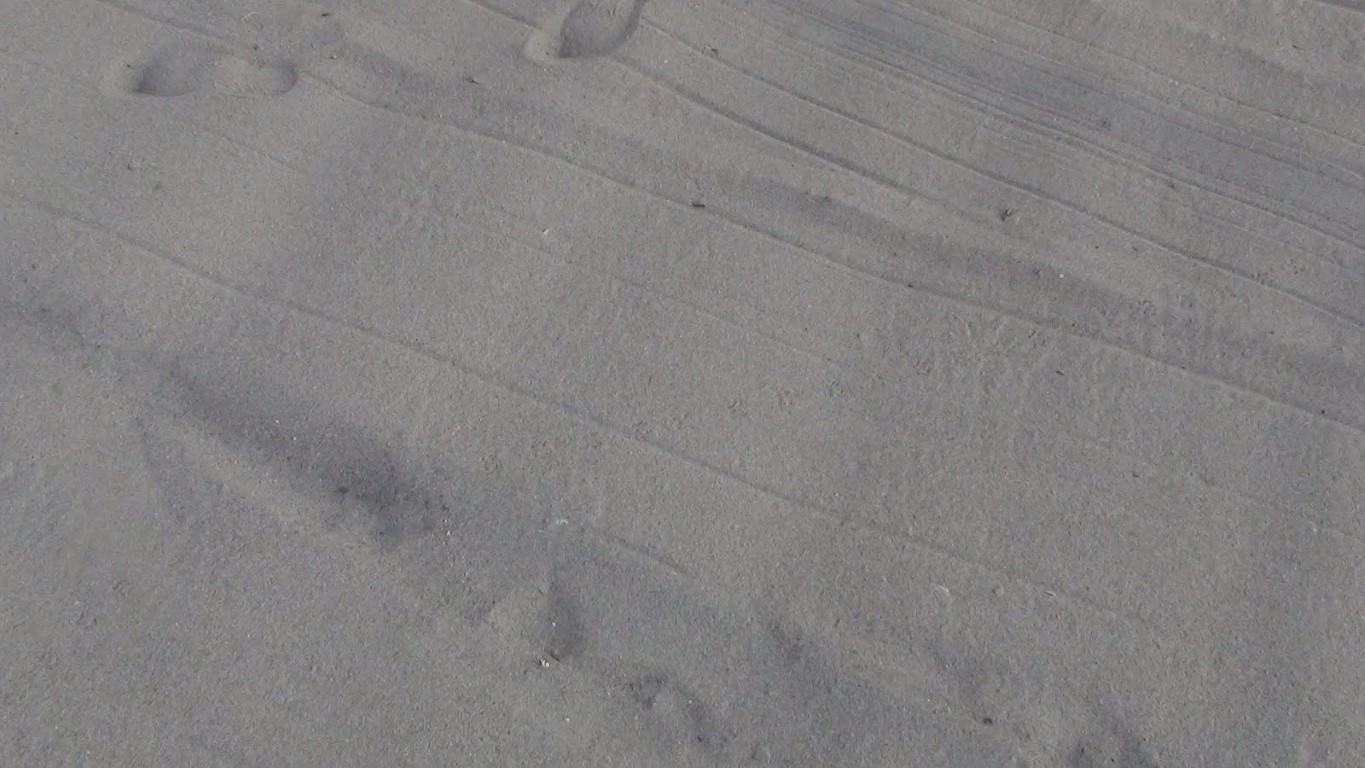 imagini hotel CONCORDE LARA